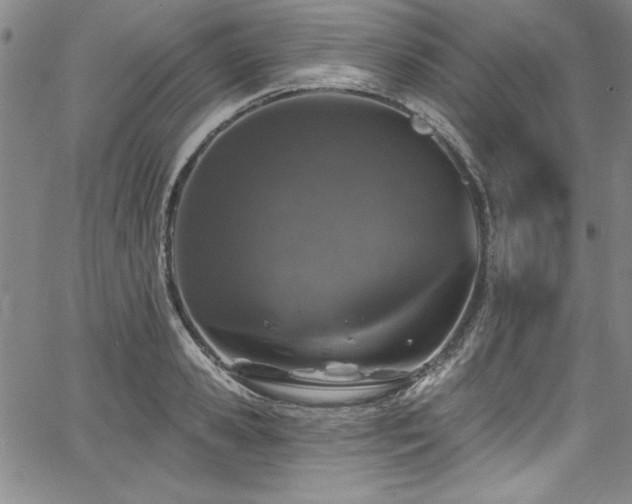X0000067860941200604131312