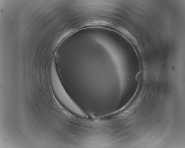 X0000067860945200604131313