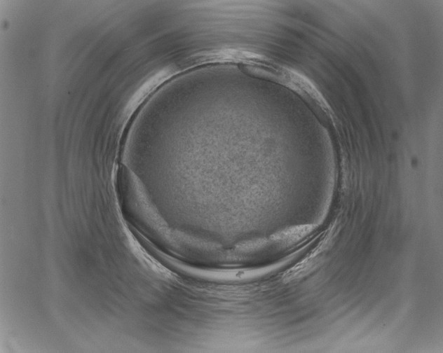 X0000067860946200604131313