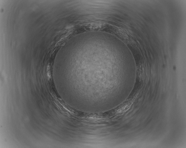 X0000067860962200604131312