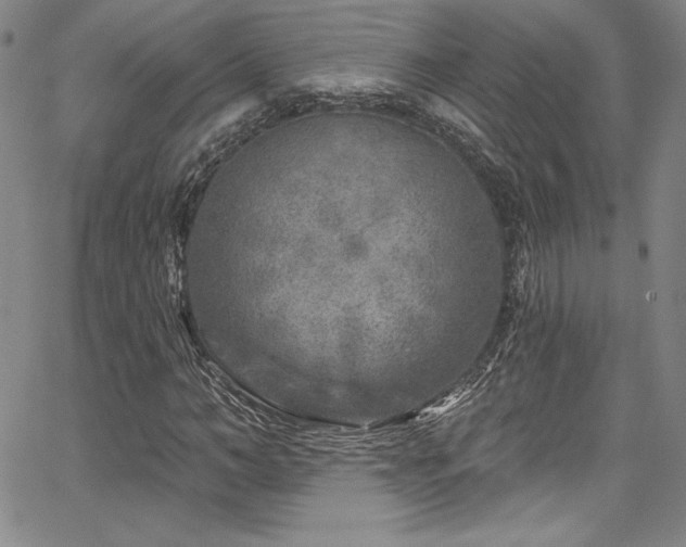 X0000067860966200604131312