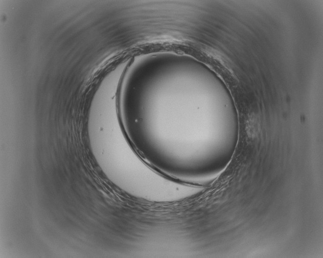 X0000067860968200604131312