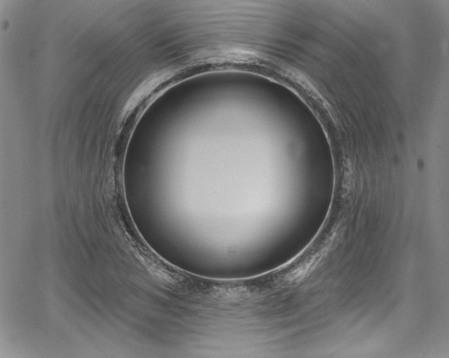 X0000067860978200604131312