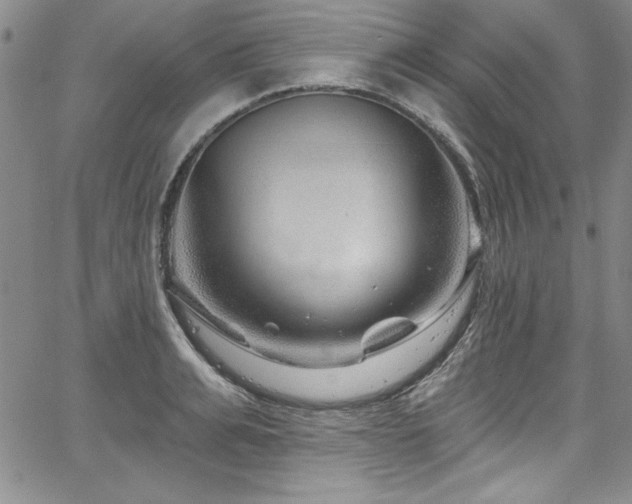 X0000067860991200604131312