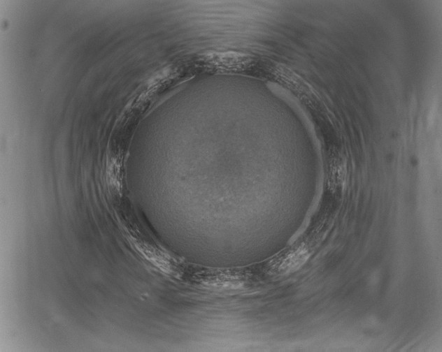 X0000067861010200604131310