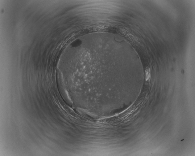 X0000067861011200604131310