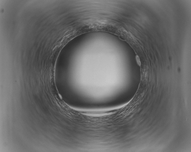 X0000067861012200604131310