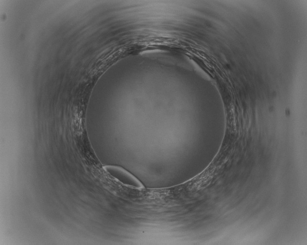 X0000067861013200604131310