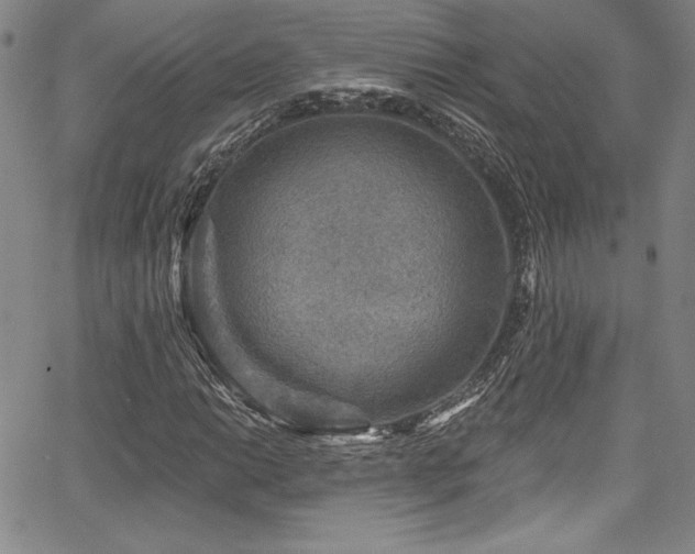 X0000067861014200604131311