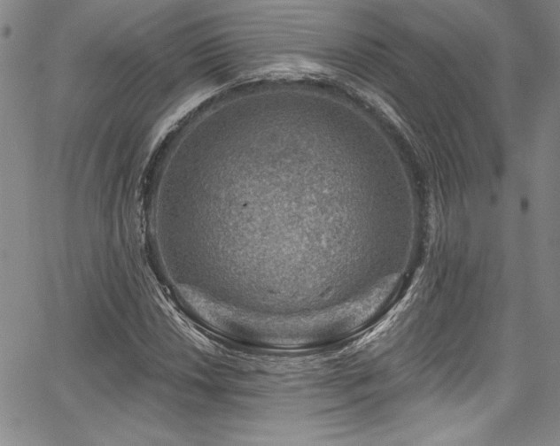 X0000067861018200604131311