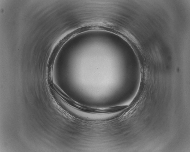 X0000067861020200604131311