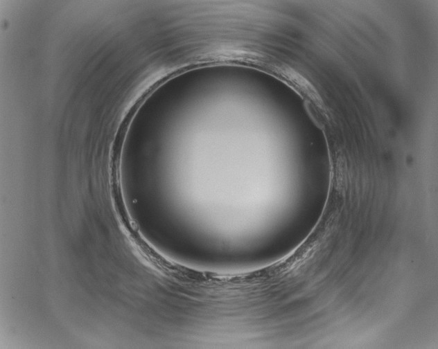 X0000067861039200604131311