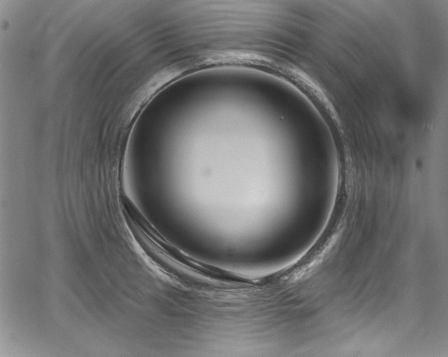 X0000067861041200604131311