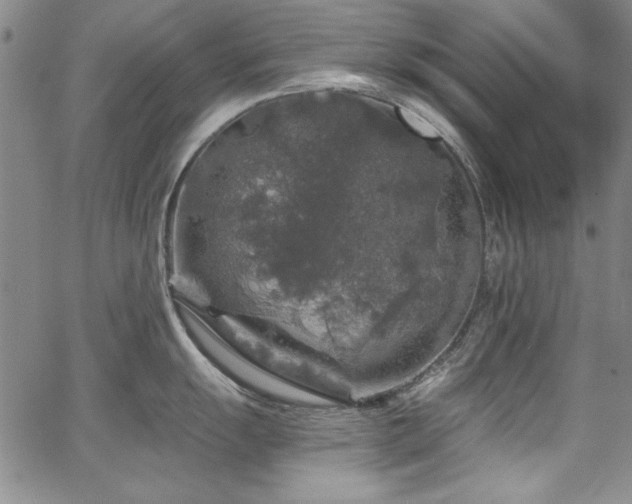 X0000067861055200604131311