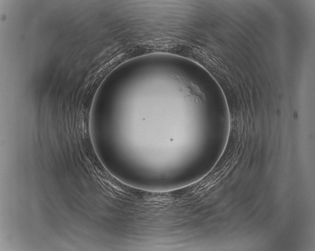 X0000067861058200604131310