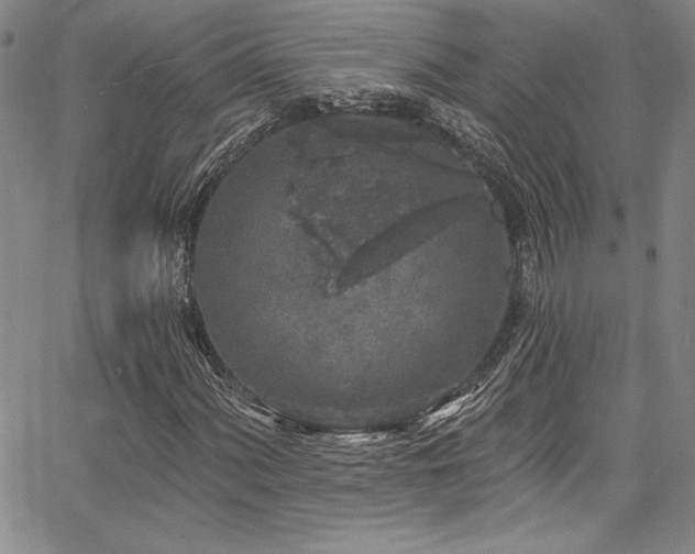 X0000067861060200604131310