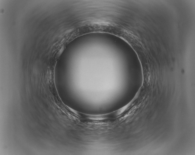 X0000067861061200604131310