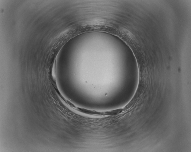 X0000067861062200604131310