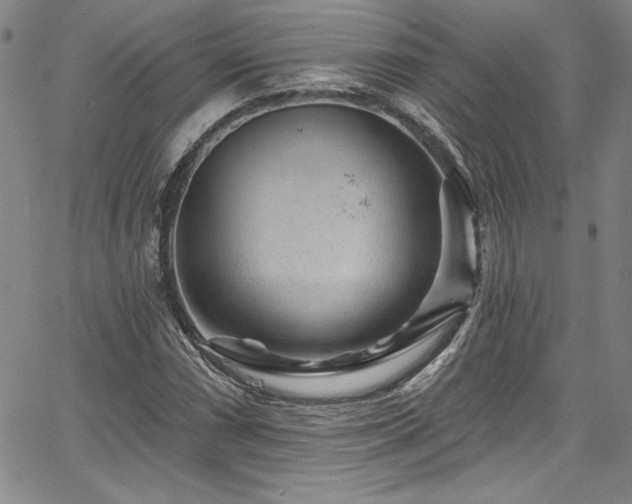 X0000067861066200604131310