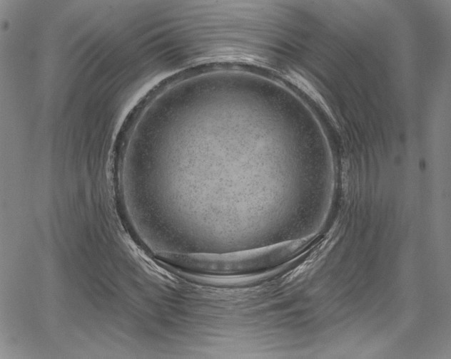 X0000067861068200604131310