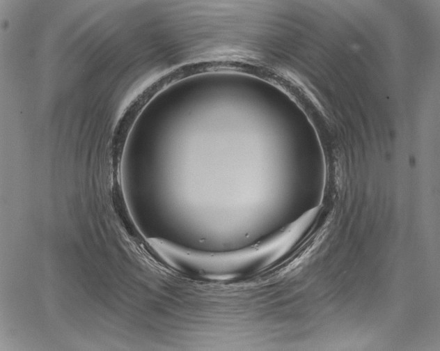 X0000067861069200604131310