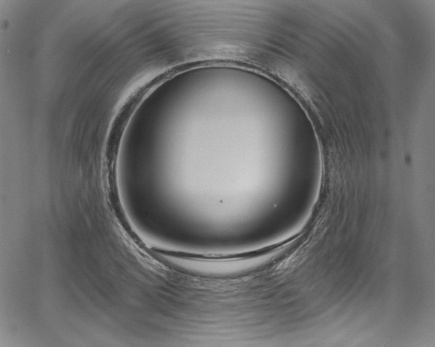 X0000067861072200604131310
