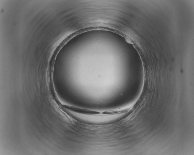 X0000067861076200604131310