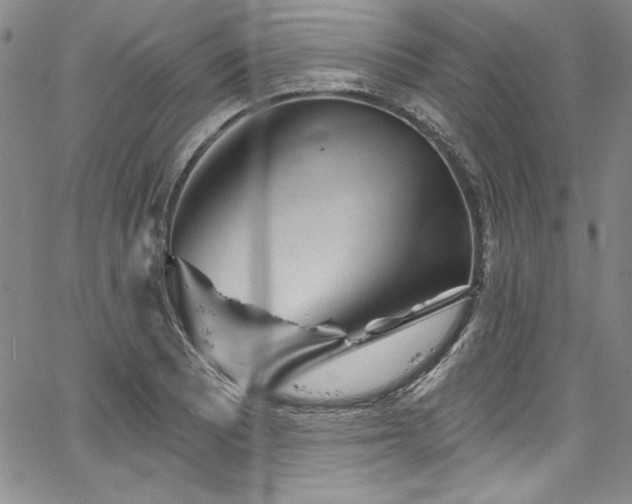 X0000067861081200604131310
