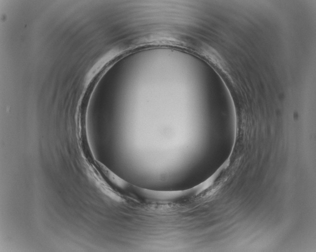 X0000067861082200604131310