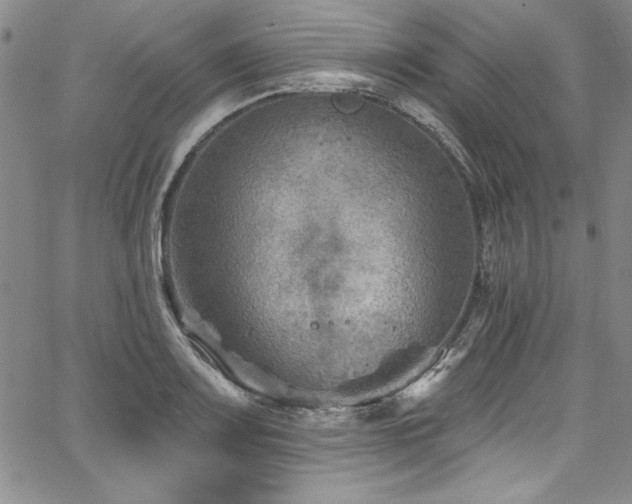 X0000067861083200604131310
