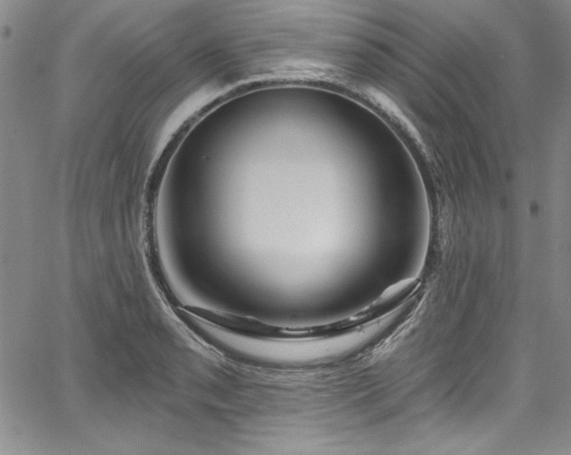 X0000067861085200604131310