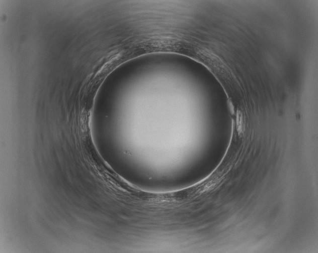 X0000067861107200604131309