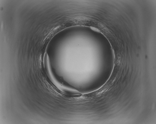 X0000067861108200604131309