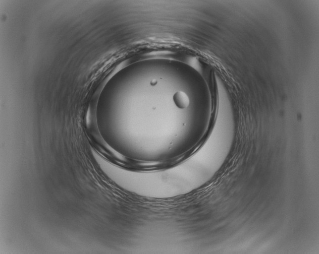 X0000067861110200604131309