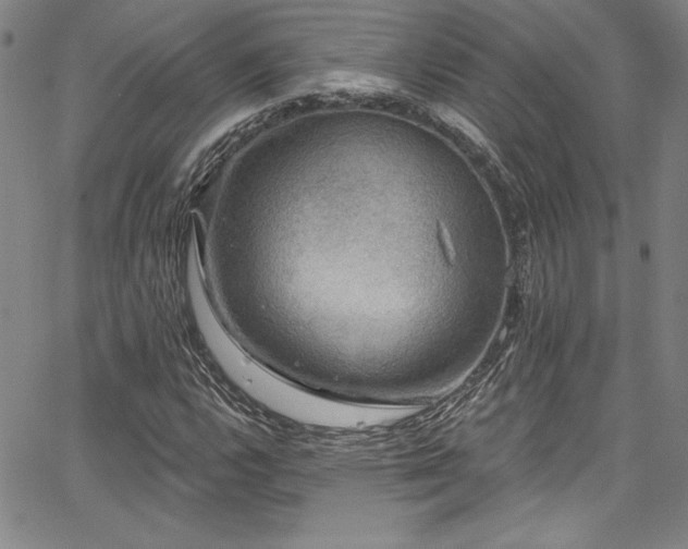 X0000067861112200604131309