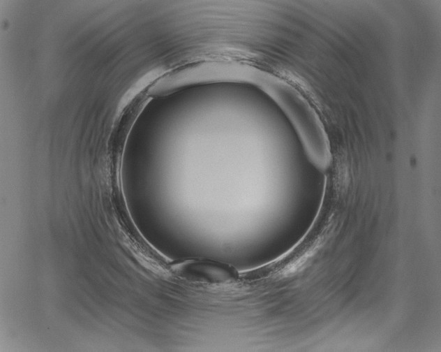 X0000067861114200604131309