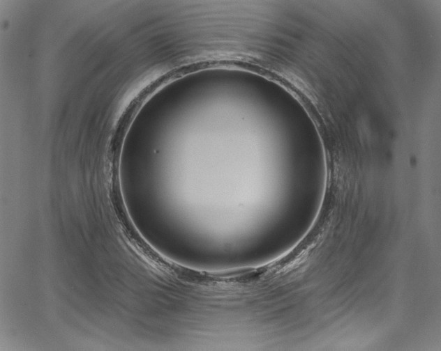 X0000067861119200604131309