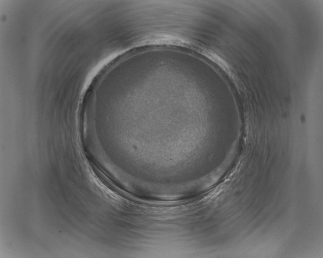X0000067861120200604131309