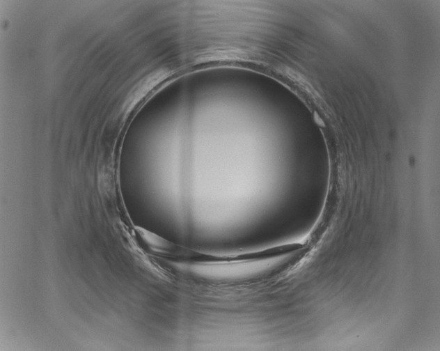 X0000067861129200604131309