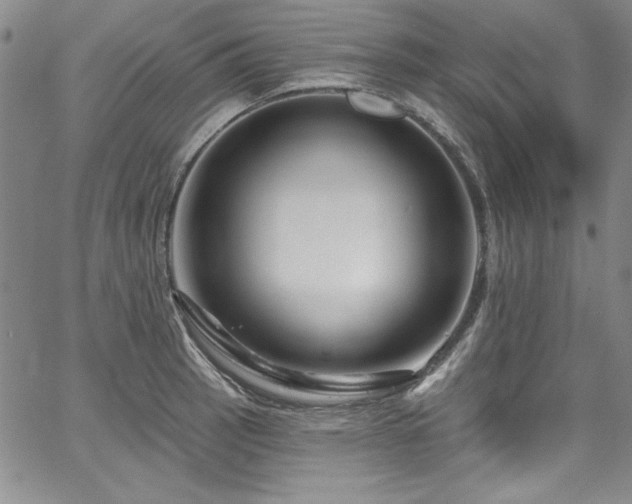 X0000067861137200604131309