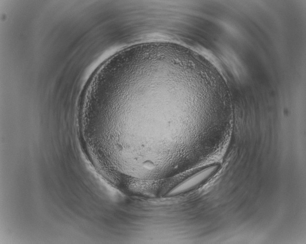 X0000067861142200604131309
