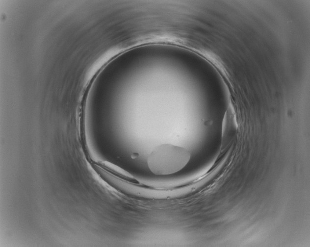 X0000067861151200604131310