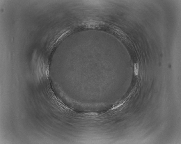 X0000067861155200604131309