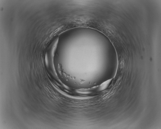 X0000067861156200604131309