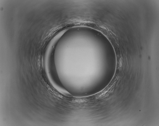 X0000067861157200604131309