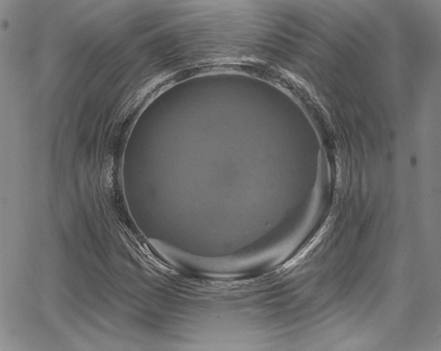 X0000067861161200604131309