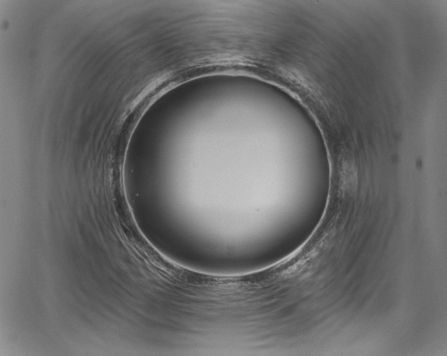 X0000067861162200604131309