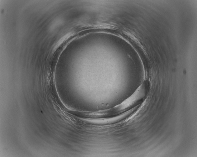 X0000067861163200604131309
