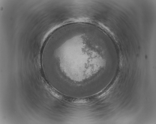 X0000067861174200604131309
