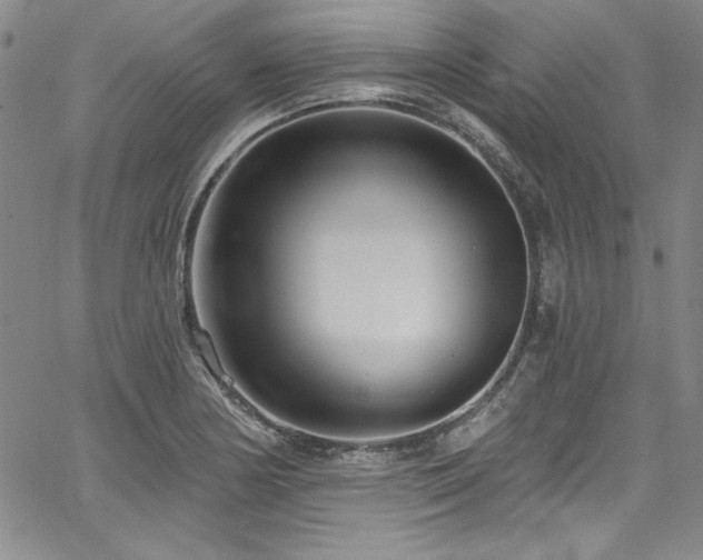 X0000067861178200604131308